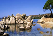 中科蜂網(wǎng)（山東）生態(tài)農(nóng)業(yè)科技有限公司成立，注冊(cè)資本388萬(wàn)人民幣:生態(tài)農(nóng)業(yè)
