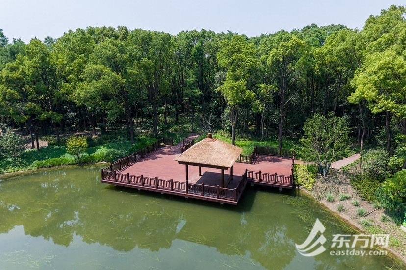 上海濱江森林公園西南片區(qū)煥新開放<strong></p>
<p>生態(tài)工程</strong>，昔日工程用地變身生態(tài)綠洲:生態(tài)工程